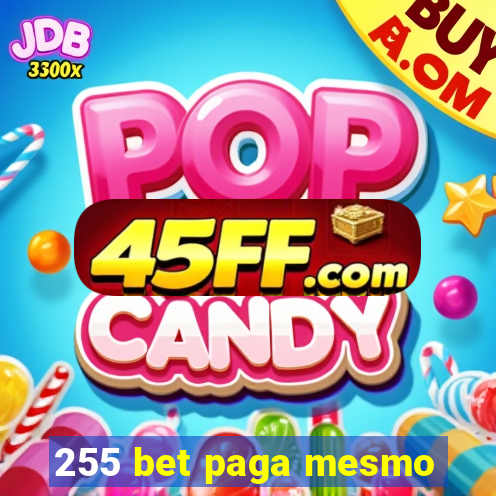 255 bet paga mesmo